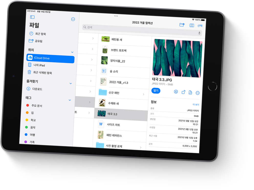 파일, iCloud Drive 선택 화면
              